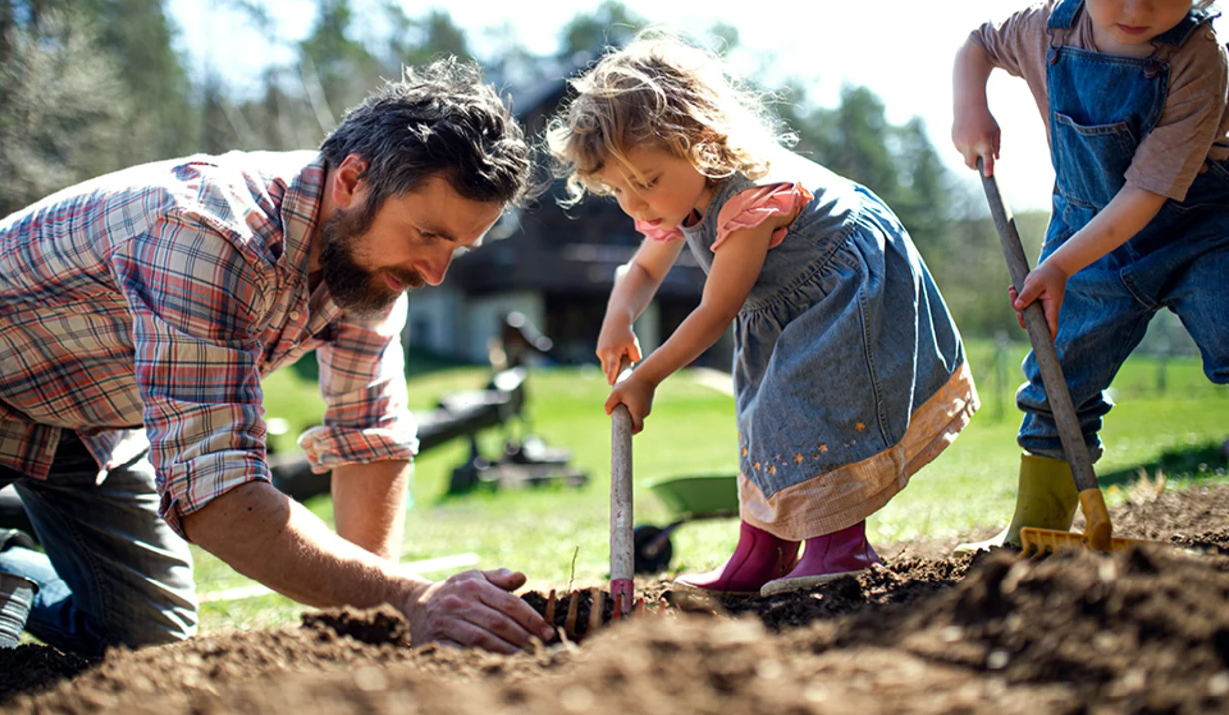 Photo of Family planting tree in back yard